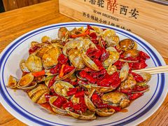 -福苗小骆驼烧烤(莲湖路店)