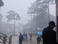 -罗田天堂寨风景区