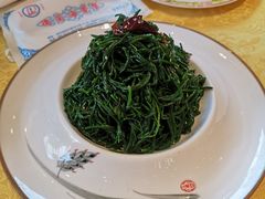 炝拌草原沙葱-德乐海蒙餐