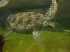 -福州罗源湾海洋世界旅游区