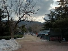 -南山公园