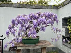 -镇南锅盖面馆(解放路店)