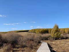 -塞罕坝国家级自然保护区