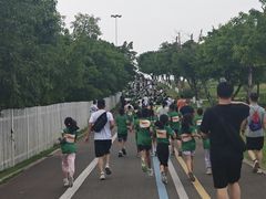 -空港花田景区