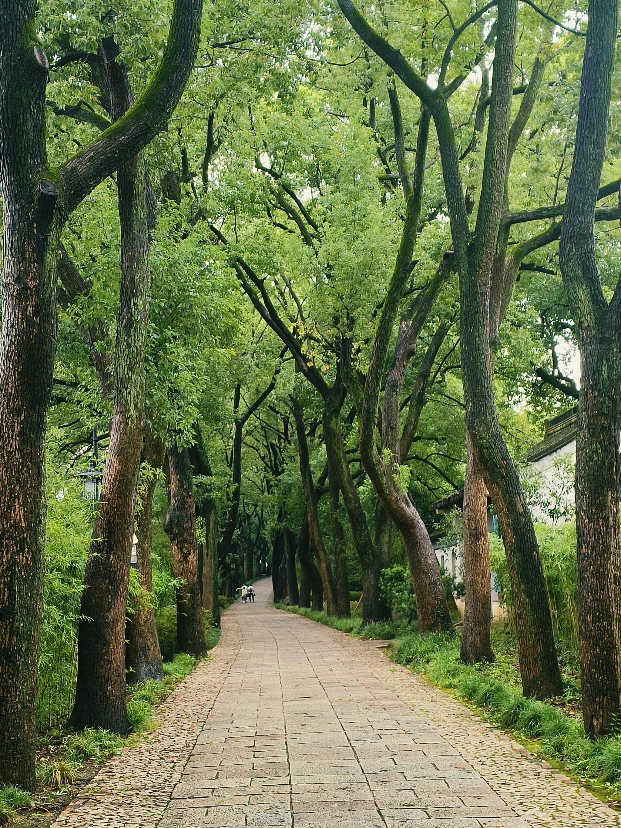 万物复苏,生机盎然,仿佛是大自然为我们描绘的一副画!