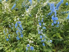 -世纪公园-世纪春沁园