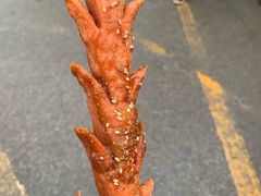 -郭阿姨月亮馍