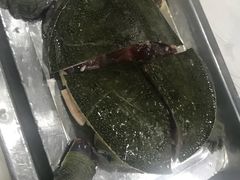 -大连海鲜斑鱼火锅(安平店)