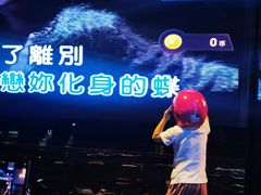 -东方金柜(郑州金水印象汇店)