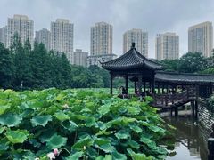 -龙头寺公园
