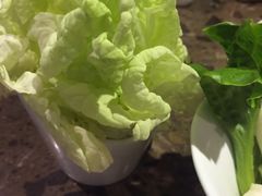 -鱼豆吉·豆浆鱼火锅(宜昌万达店)