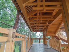 -缙云山景区