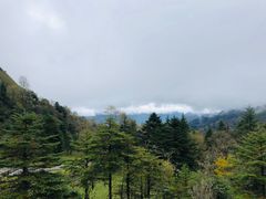 -硗碛藏寨·神木垒景区