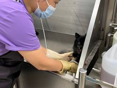 -北京观赏动物医院·24小时大型综合·猫专科·异宠专科