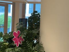 -观心实验室·心理咨询(上海旗舰店)