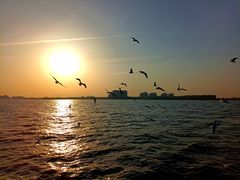 -老虎石海上公园