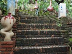 -青青世界