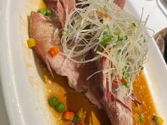 清蒸红星斑-潮粤香海鲜酒楼(沙湖店)