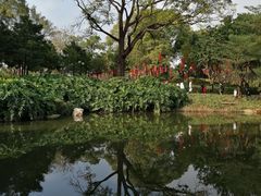-云溪植物园