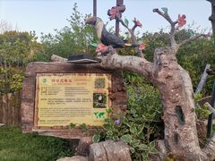 -上海野生动物园