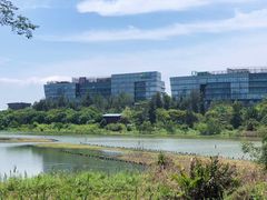 -华侨城湿地公园