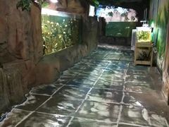 -嘉兴海底世界