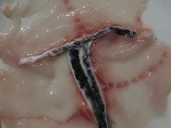 -重庆乌鱼庄·龙滋鲜(青羊大道店)