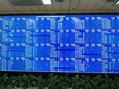 -华中科技大学同济医学院附属同济医院(汉口院区)