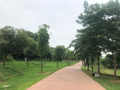 -盘龙城国家考古遗址公园