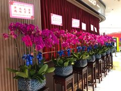 大堂-上海人家花樣年华(中山公园店)