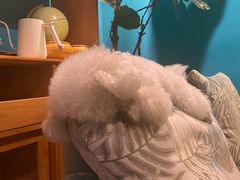-默迹咖啡馆