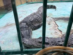 -青藏高原野生动物园