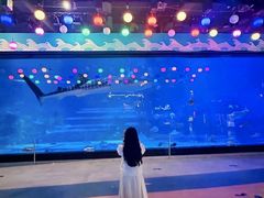 -烟台海昌鲸鲨海洋公园