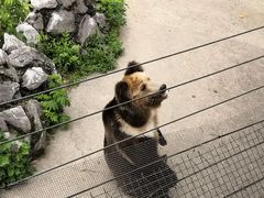 -成都动物园