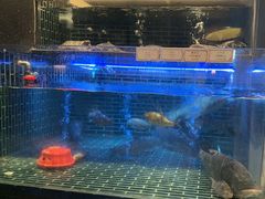 -衢农会·衢州菜·宴请(国际机场店)