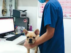 -佑安动物医院·全科·内窥镜中心(幸福巷店)