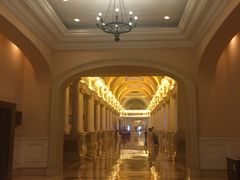 -广州凤凰城酒店-维也纳西餐厅