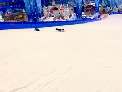 -长沙湘江冰雪世界