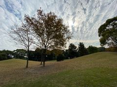 -银涛高尔夫练习场(徐泾店)