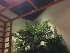 -十二舍·湯物素煮(江泰潤政店)