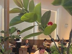 -一沙一城·岩烤牛扒(深圳首店)