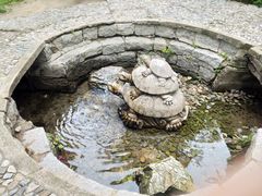 -中华三祖圣地黄帝城遗址文化旅游区