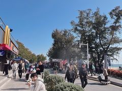 -西涌国际滨海旅游区