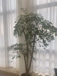 -JNK皮肤管理中心