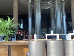 -新都绿城喜来登酒店大堂吧