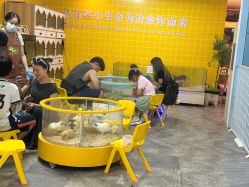点击看大图 -神奇动物撸宠馆·羊驼·小浣熊·异宠(豫园店)