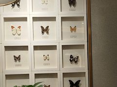-峨嵋小镇(远洋城店)