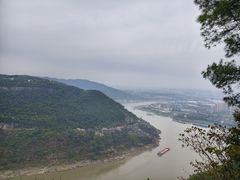 -铁山坪森林公园