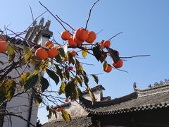 -塔川景区