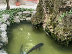 -绿色菜园(贤山店)